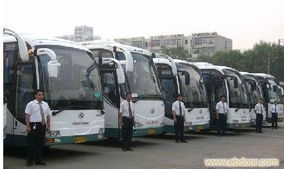 上海租車(chē)服務(wù)指南 從日常代步到長(zhǎng)途包車(chē)的全方位選擇